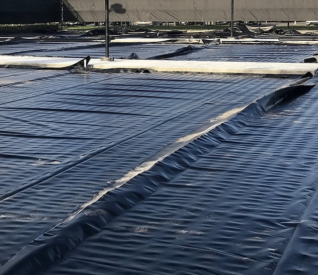 lona preta de polietileno